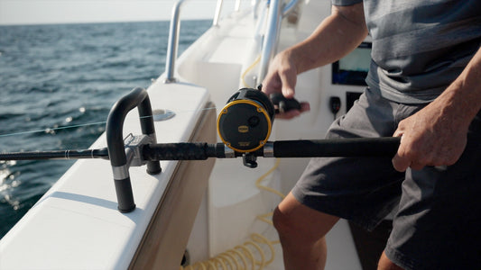 The Handle by Control the Catch